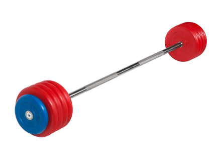 Штанга неразборная &quot;Barbell&quot; с цветными дисками d 25 мм, 50 кг оптом, фото 1