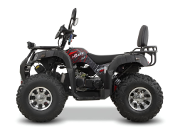 Квадроцикл GRIZZLY 200 Premium, фото 2