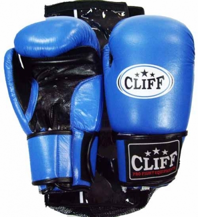 Перчатки бокс F.TECH (кожа) 10 oz синие оптом, фото 1