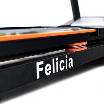 Беговая дорожка электрическая Proxima Felicia арт. PROT-210 оптом, фото 8