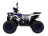 Квадроцикл AVANTIS Optima 8+ оптом