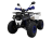 Квадроцикл AVANTIS Optima 8+ оптом