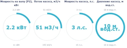 Насос с префильтром Saci Pumps CF-2 300 оптом, фото 2