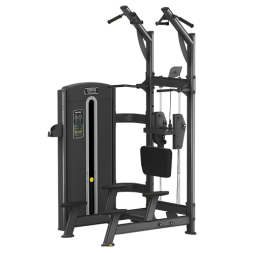 BRONZE GYM M05-008 Гравитрон
