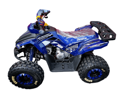 Квадроцикл MOTOLAND 125 Coyote Pro оптом, фото 4