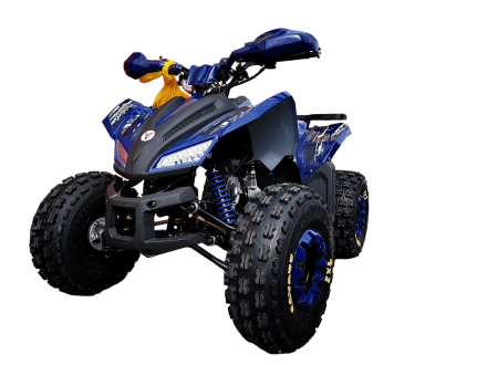 Квадроцикл MOTOLAND 125 Coyote Pro оптом, фото 3