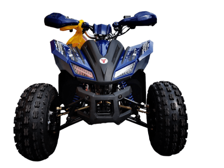 Квадроцикл MOTOLAND 125 Coyote Pro оптом, фото 2