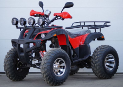 Квадроцикл STALKER 250 Lux, фото 2