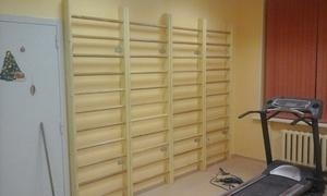 Шведская стенка деревянная EffectSport  ДСБ-ТФ 260х80 оптом, фото 4