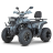 Квадроцикл Dazzle ATV200 Комплектация 2 оптом