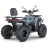 Квадроцикл Dazzle ATV200 Комплектация 2 оптом