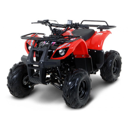 Квадроцикл Русская Механика (RM) РЫСЬ 110U оптом, фото 1