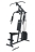 Мультистанция VictoryFit VF-HG3100 (3 места) оптом
