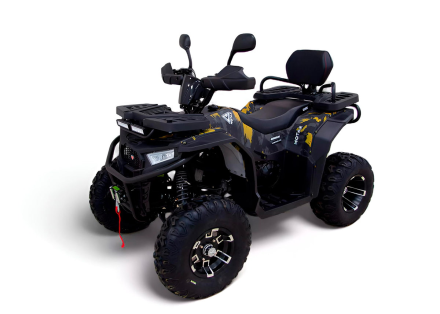 Квадроцикл MOTAX Grizlik W200 LUX оптом, фото 1