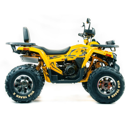 Квадроцикл MOTOLAND 200 Wild Track X Pro (Баланс. вал) (2021 Г.) оптом, фото 6