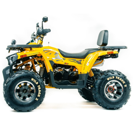 Квадроцикл MOTOLAND 200 Wild Track X Pro (Баланс. вал) (2021 Г.) оптом, фото 2