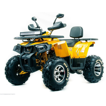 Квадроцикл MOTOLAND 200 Wild Track X Pro (Баланс. вал) (2021 Г.) оптом, фото 1