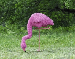 Топиари Фламинго розовый шея изогнута, на водопое - газон Eco, фото 1