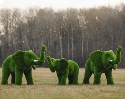 Топиари композиция Слоны, большая семья, 3 шт - газон Premium оптом, фото 1