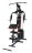 Мультистанция VictoryFit VF-H7001 (3 места) оптом