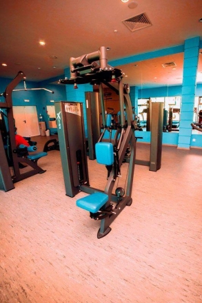 Грудь-задние дельты Х124  оптом, фото 2