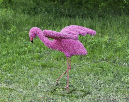 Топиари Фламинго розовый, разгон - газон Eco оптом, фото 1