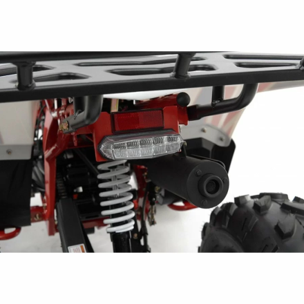 Квадроцикл MOTAX ATV Grizlik A125 оптом, фото 18