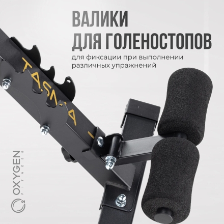 Силовая скамья регулируемая домашняя OXYGEN FITNESS TASMAN оптом, фото 3