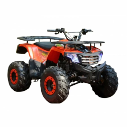 Квадроцикл WELS ATV Thunder AX 125