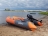 Надувная лодка BoatsMan BT330K оптом