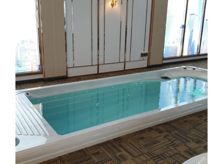 Плавательный Спа Бассейн JNJ Spas Swim Pro SPA-8278 оптом, фото 4