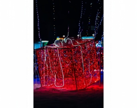 Световая фигура Подарок (диаметр 0,3 м) оптом, фото 1