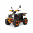 Квадроцикл YACOTA SIRIUS 110 оптом