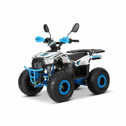 Квадроцикл YACOTA SIRIUS 110, фото 1