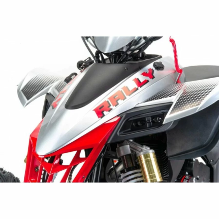 Квадроцикл подростковый MotoLand ATV 250 Rally оптом, фото 5