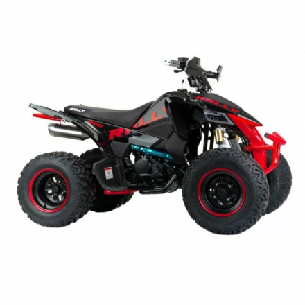 Квадроцикл подростковый MotoLand ATV 250 Rally оптом, фото 4