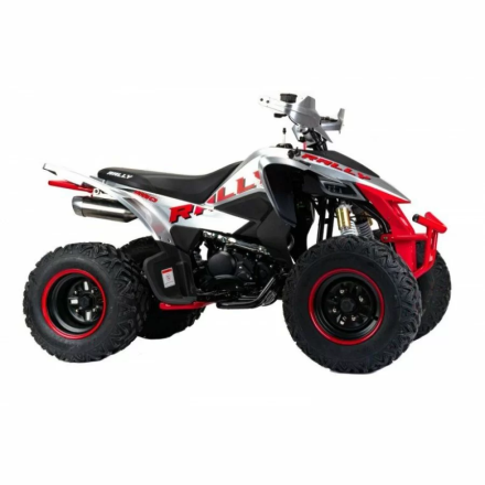 Квадроцикл подростковый MotoLand ATV 250 Rally оптом, фото 2