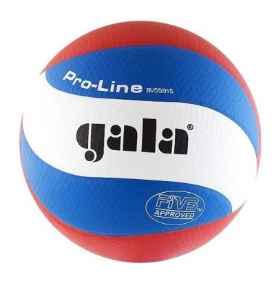 Мяч волейбольный GALA Pro-line 10 FIVB оптом, фото 1