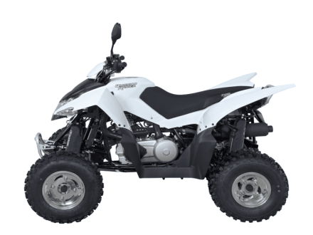 Квадроцикл SYM QuadRaider 300 SD оптом, фото 2