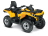 Квадроцикл BRP Can-Am Outlander Max DPS 500 (2024) (ПСМ) оптом