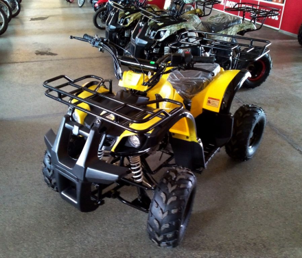 Квадроцикл AVANTIS Hunter 7 LITE оптом, фото 9