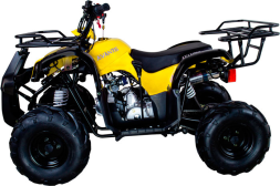Квадроцикл AVANTIS Hunter 7 LITE, фото 2