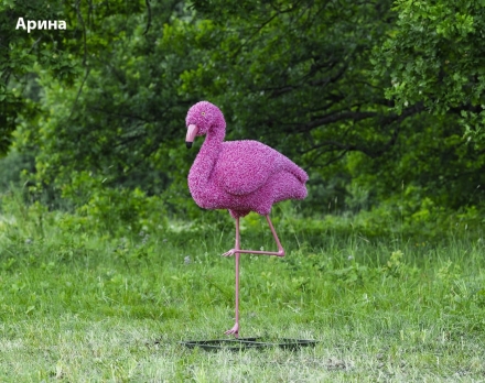 Топиари фламинго, Бриджит - газон Eco оптом, фото 6