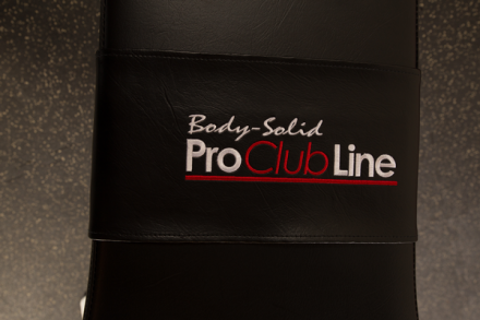 Тренажер для мышц брюшного пресса Body-Solid SAB500 оптом, фото 16