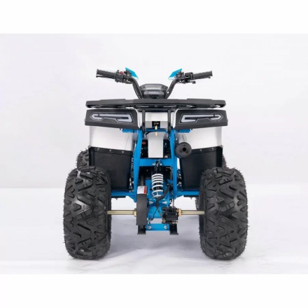 Квадроцикл YACOTA SIRIUS 125 оптом, фото 4