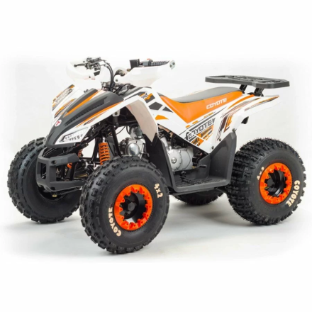 Квадроцикл подростковый MotoLand ATV COYOTE 125 оптом, фото 2