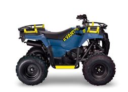 Квадроцикл AVANTIS Ray 200 Basic, фото 2