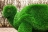 Топиари Черепаха с кашпо Мили - газон Eco оптом