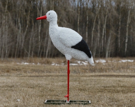 Топиари аист, задумался - газон Eco оптом, фото 2