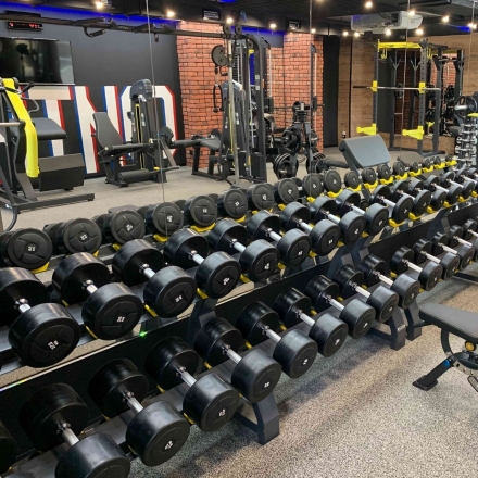 Гантельный ряд PROFI-FIT POWER 27,5 кг - 37,5 кг (5 пар), шаг 2,5 кг оптом, фото 2